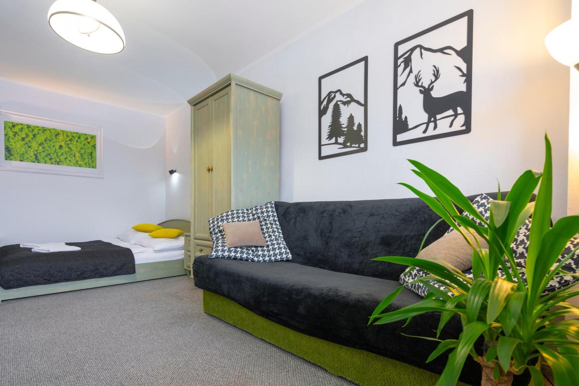 Apartament Nad Kamienczykiem IV 斯克拉斯卡波伦巴 外观 照片