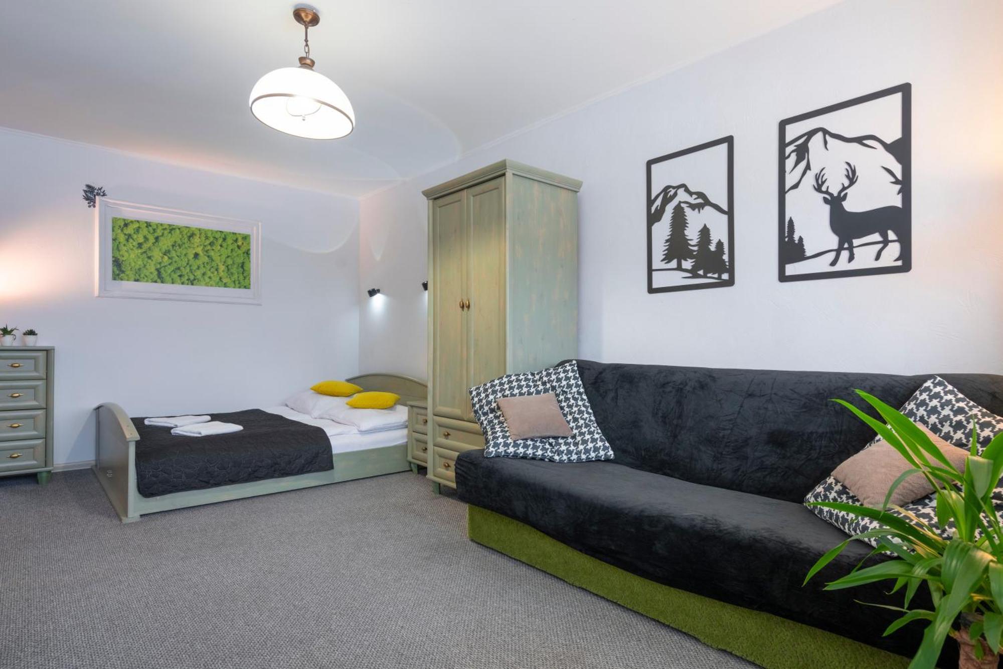 Apartament Nad Kamienczykiem IV 斯克拉斯卡波伦巴 外观 照片