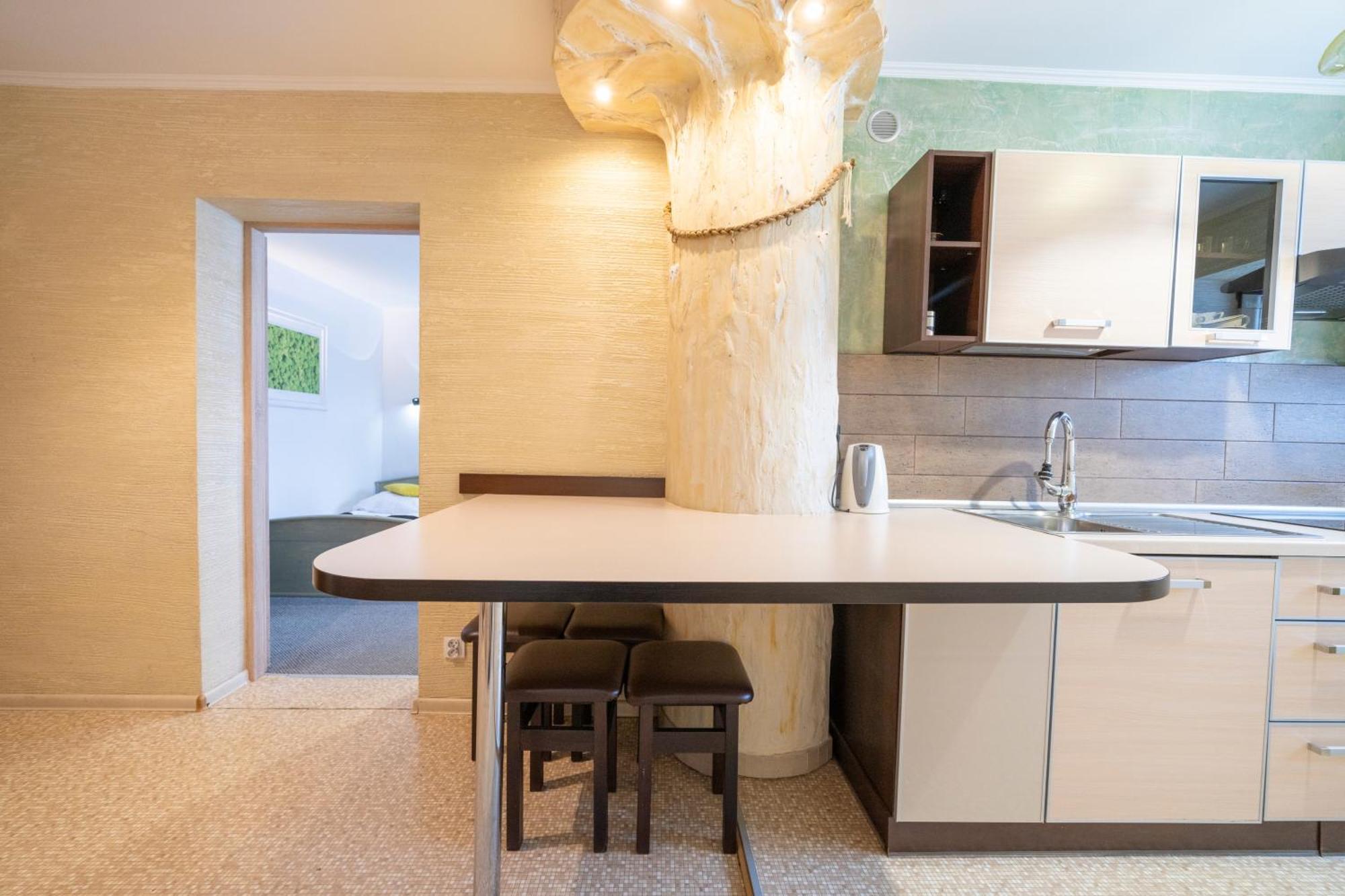 Apartament Nad Kamienczykiem IV 斯克拉斯卡波伦巴 外观 照片